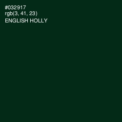 #032917 - English Holly Color Image